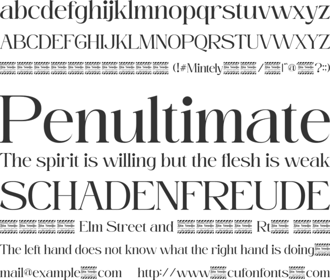 Mintely Reg Personal Use font preview