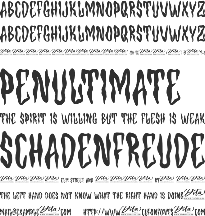 Secret Ring Personal Use font preview