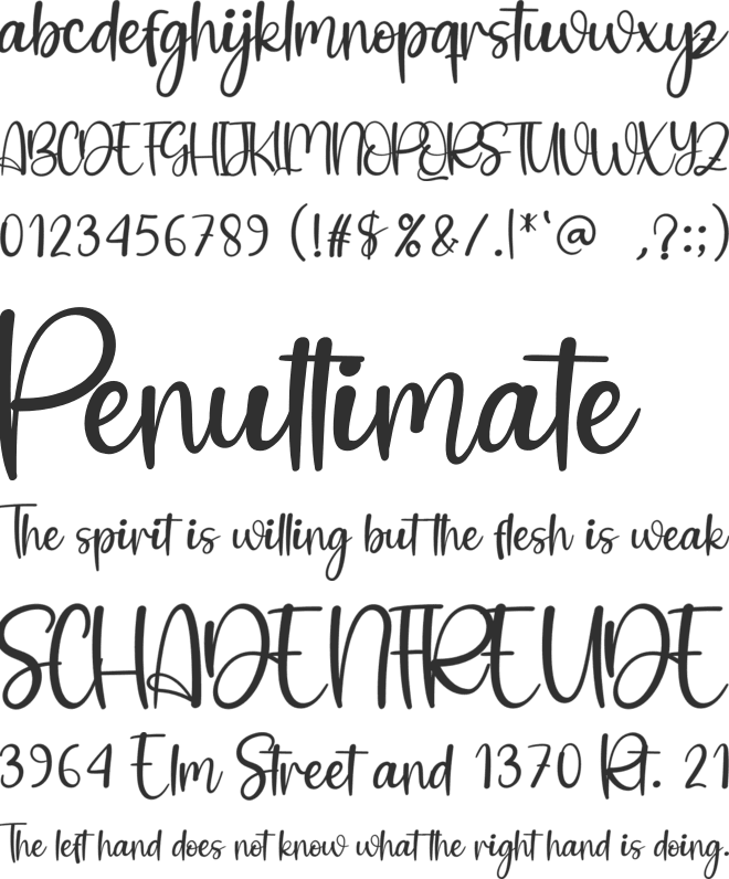 Brightnight font preview
