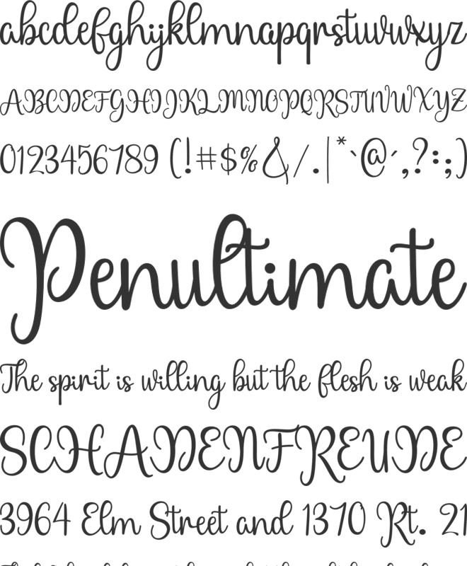 Mastera font preview