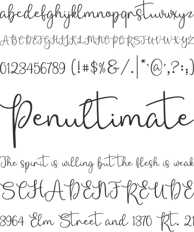 Bellasia font preview