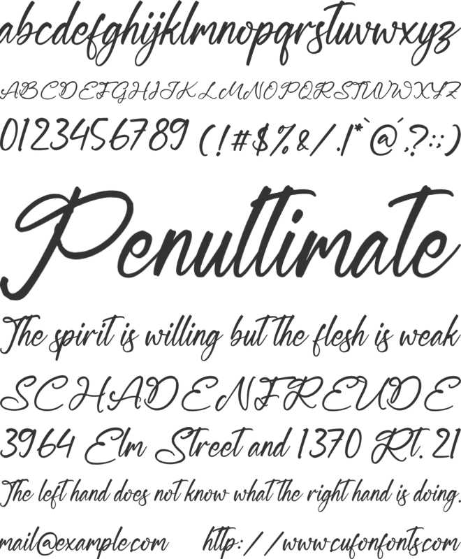 Magnetta Wettney font preview