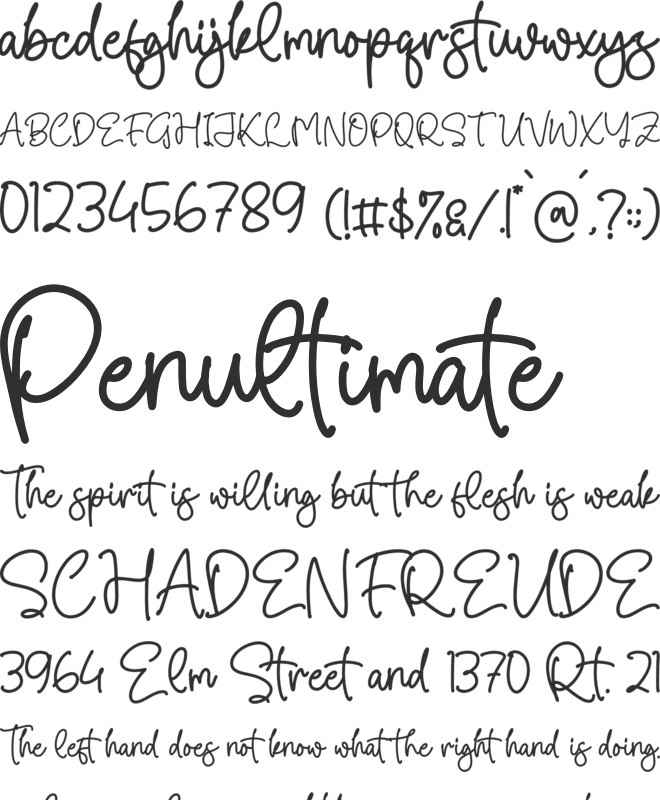 Donatally font preview
