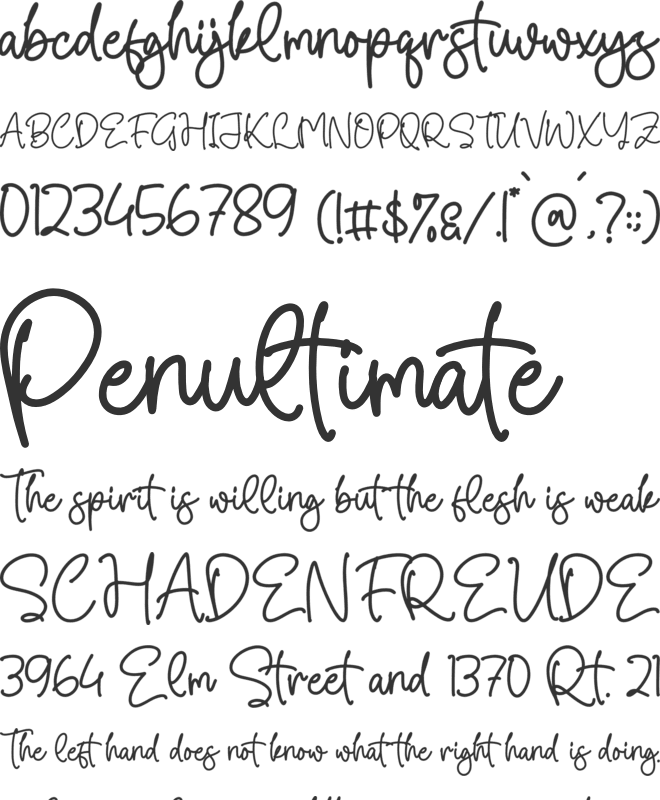 Donatally font preview