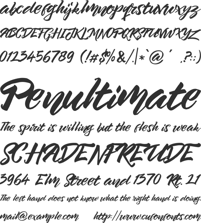 The Beard FREE PERSONAL US font preview