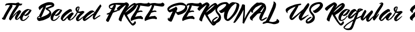 The Beard FREE PERSONAL US Regular font