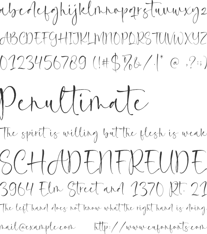 Rainquote font preview
