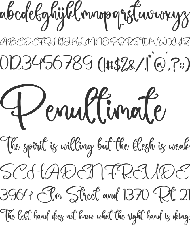 Sauxlle font preview