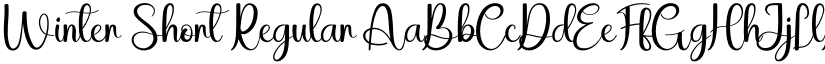 Winter Short Regular font