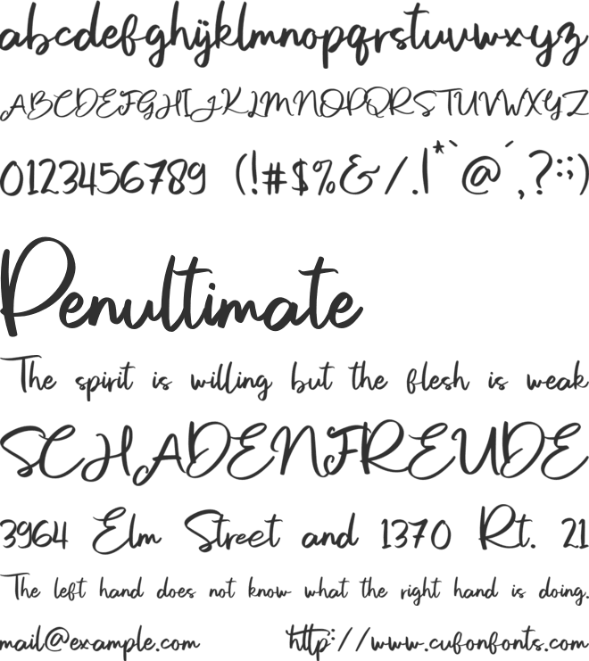 Sweet Buttermilk Script font preview