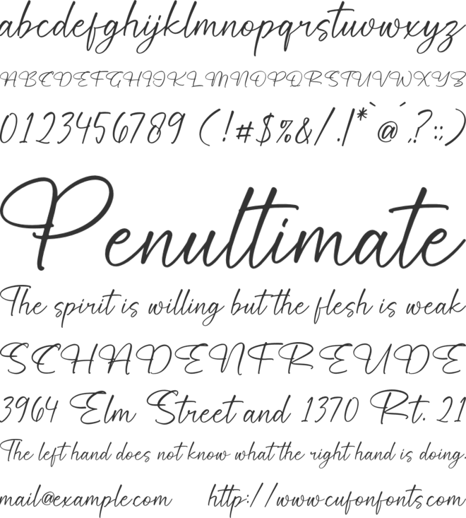 Harlytta Risedia font preview