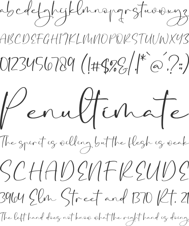 Baqeette font preview