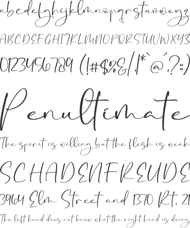 Baqeette font preview