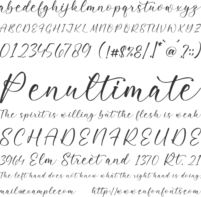 Rayetta Wegatta font preview