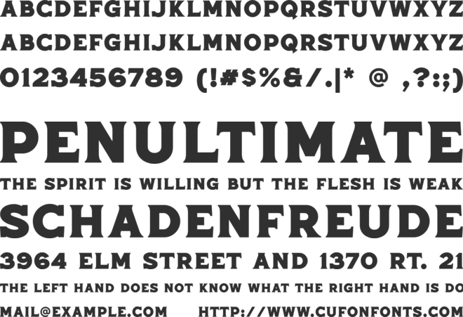 Neoland Serif font preview