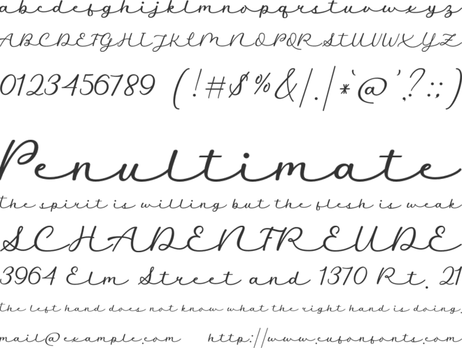 Auckland Signature font preview