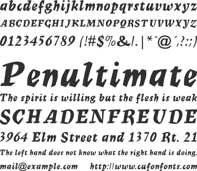 Mercurius Script MT Bold font preview