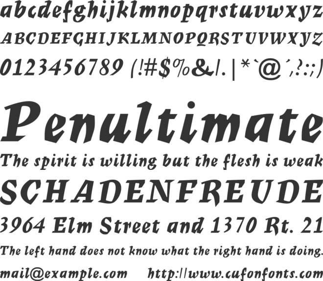 Mercurius Script MT Bold font preview