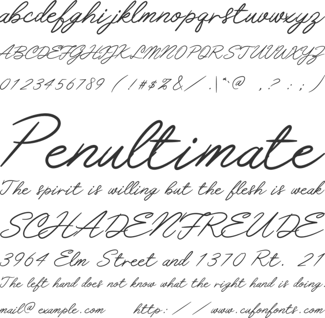 Piratte Diarys font preview