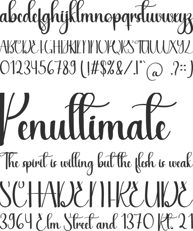 Afternoon font preview