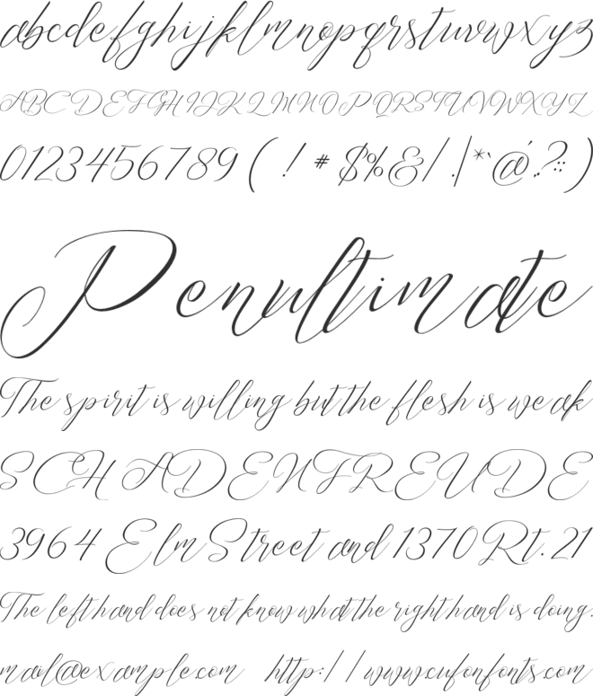Trendencia FREE PERSONAL US font preview