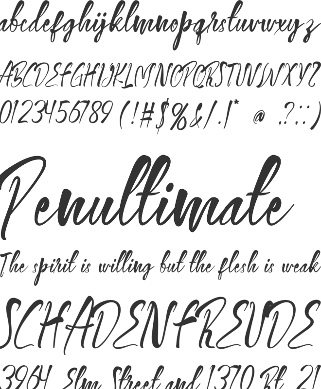 BirthdayBagelScript font preview