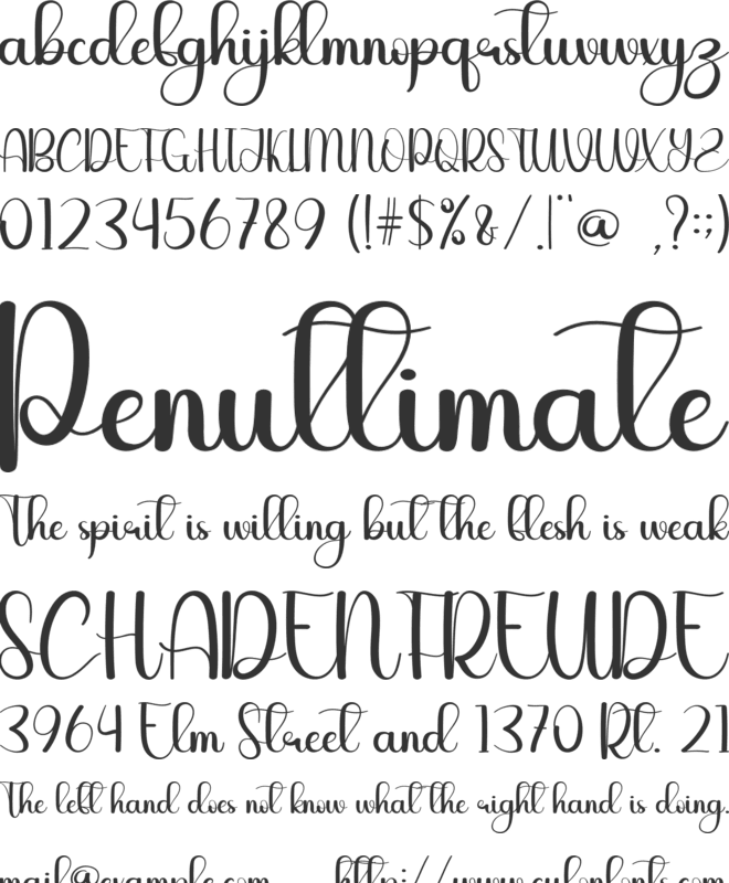 Rose Pink font preview