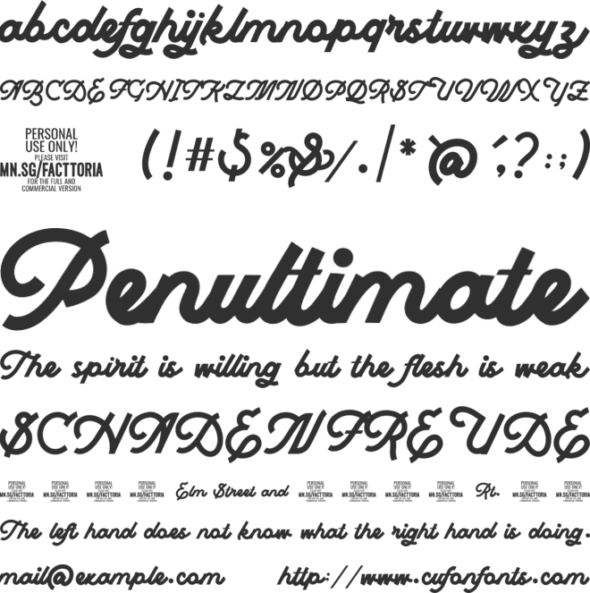 Facttoria Script PERSONAL USE font preview
