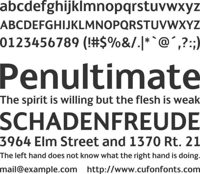 Championship Font Download