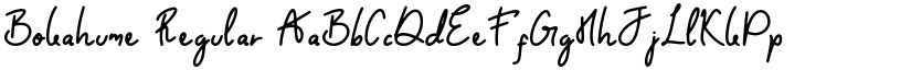 Bokahume Regular font