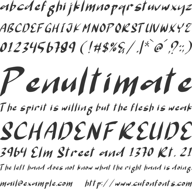 Rasterdam Dronships font preview