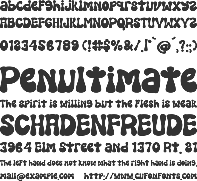 Shoese Flower font preview