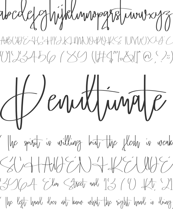 Dallotin font preview