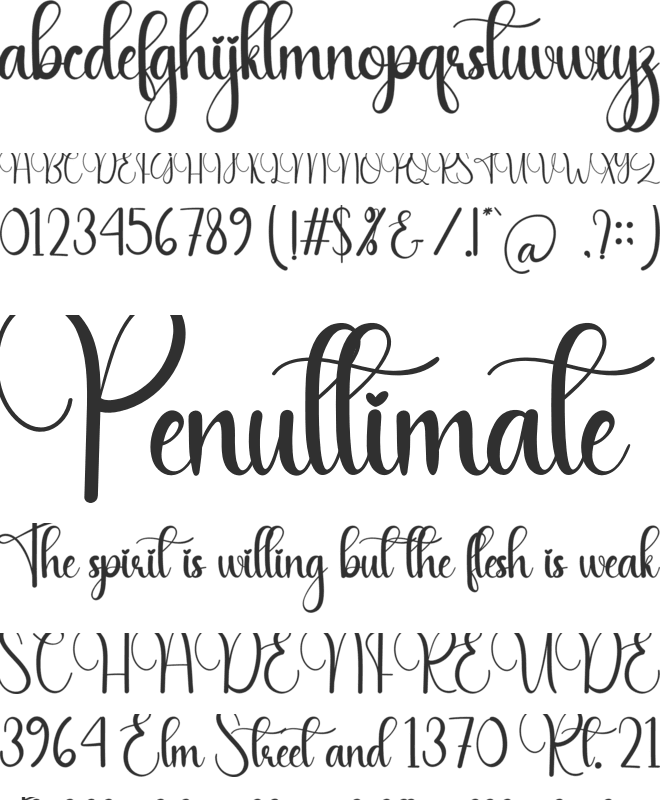 The Angel font preview