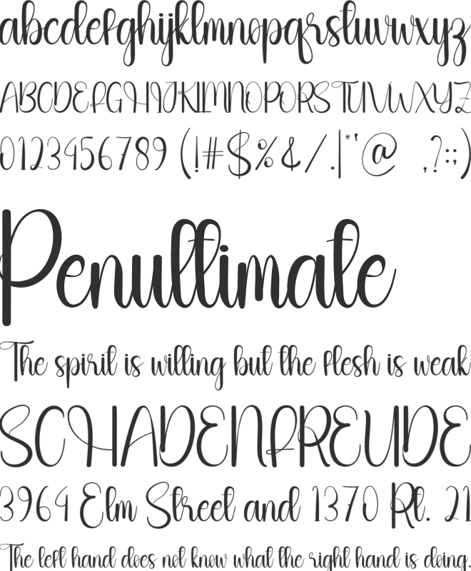 Stay Holiday font preview