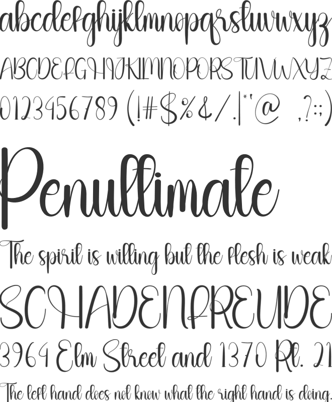 Stay Holiday font preview