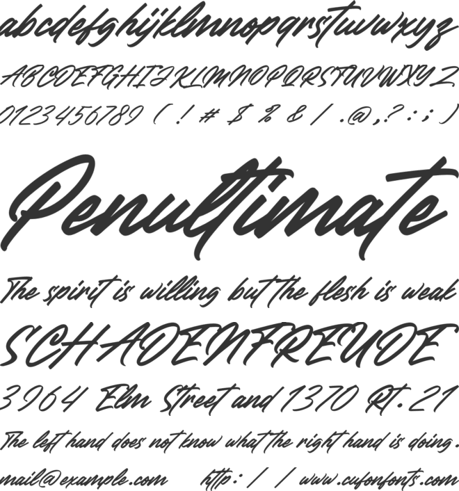 Delegante Champion font preview