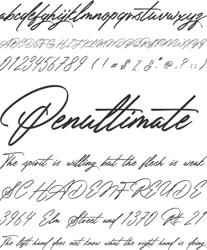 Amsterday Signature font preview