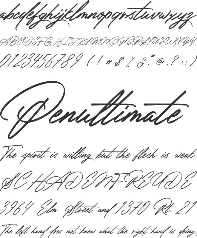 Amsterday Signature font preview