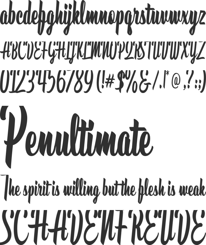 Signs Painted Script font preview