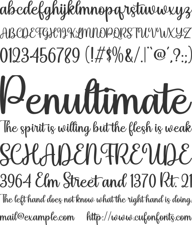 Angela Shining font preview