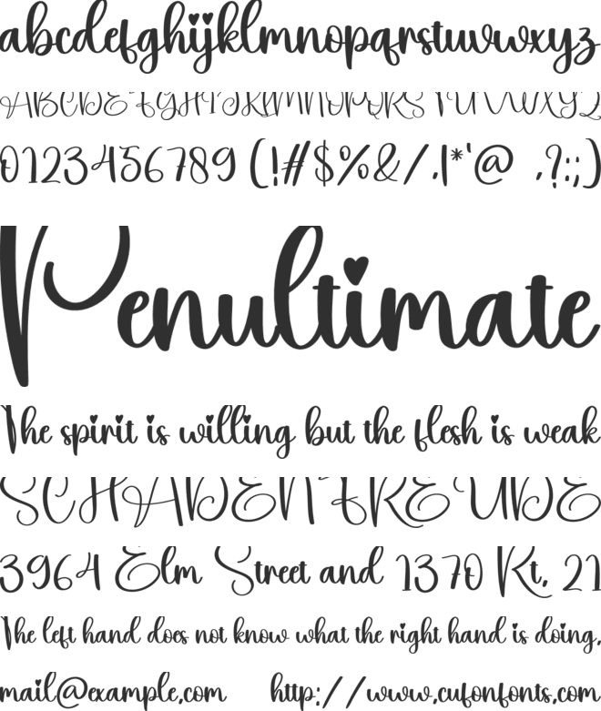 Bible font preview