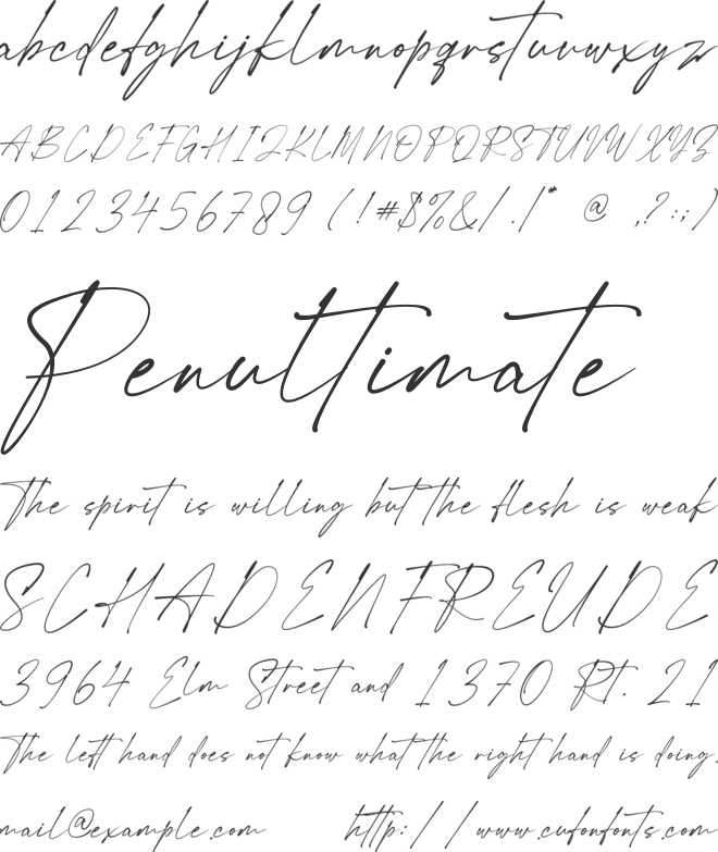 Renatha Signature font preview
