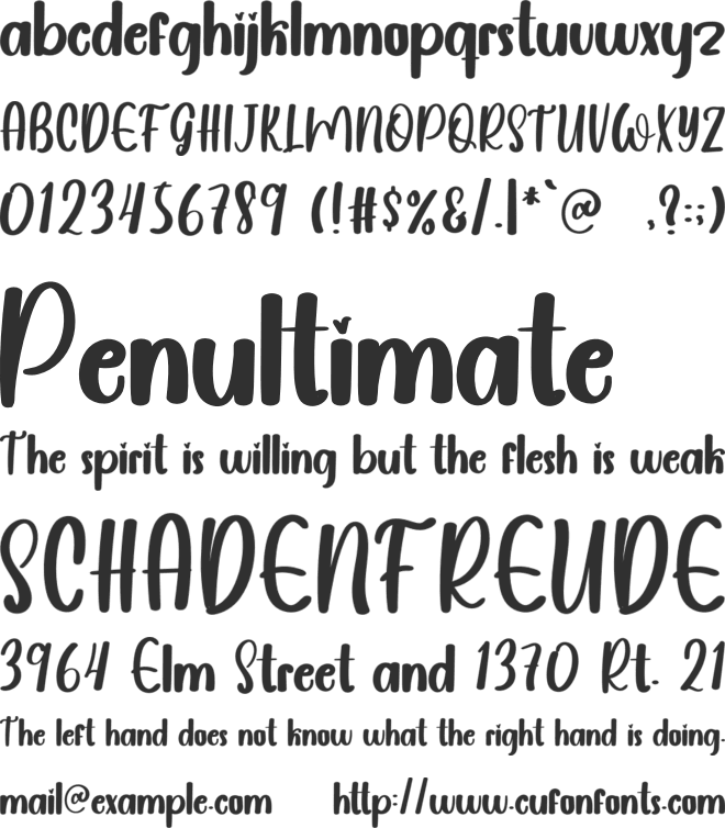 Belive font preview