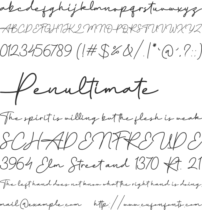 Amilly Signature font preview