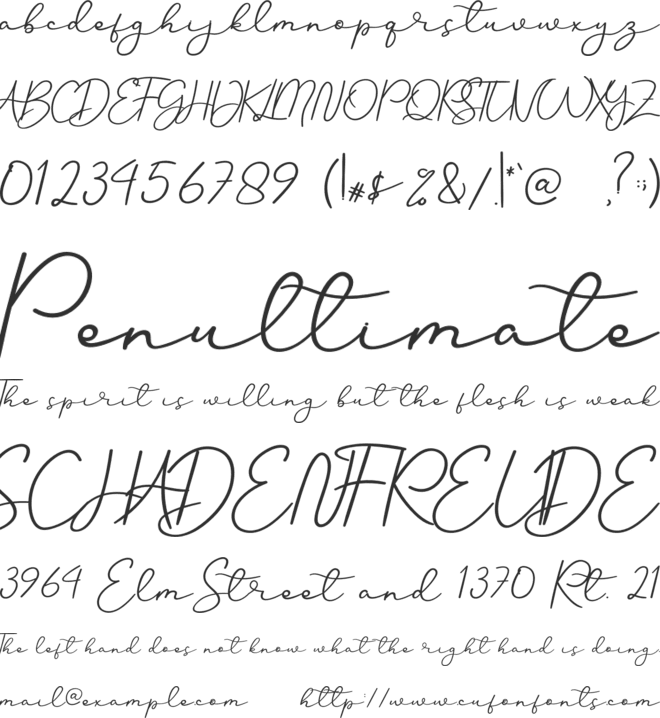 Sweet  Sofia font preview