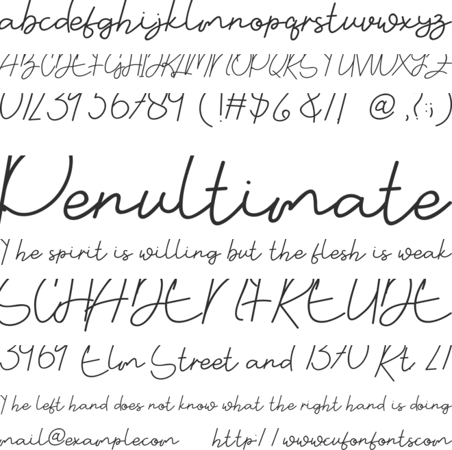 Wedding Photography font preview