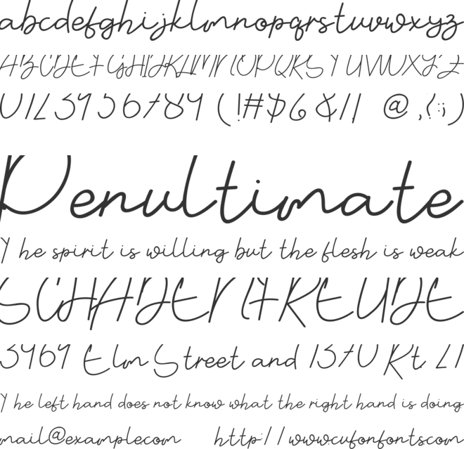 Wedding Photography font preview