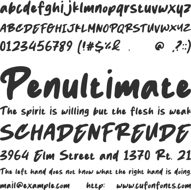 Swash font preview