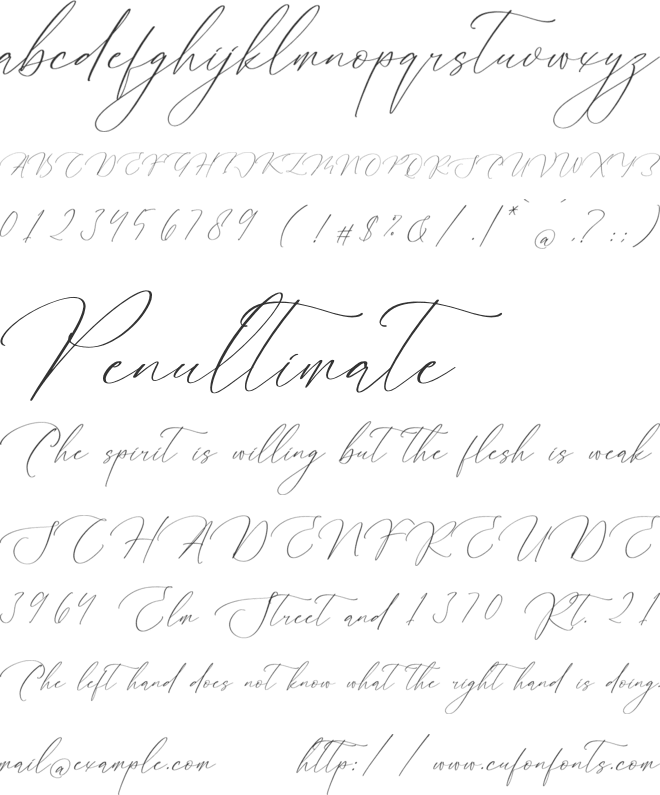 Pricillia Kalista font preview